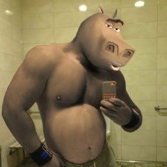 StellarMooseVT tweet media