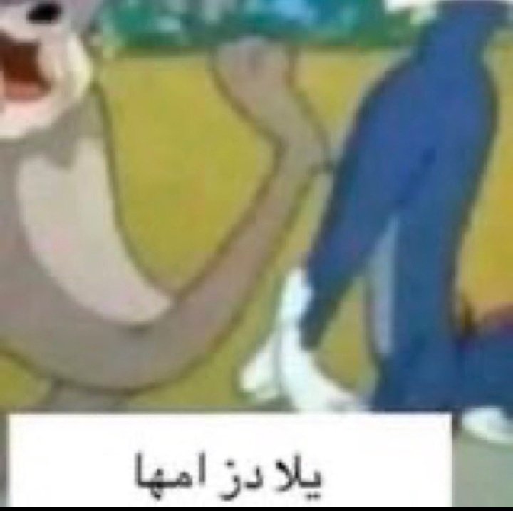 night 🦢 tweet media