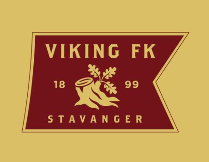 Viking FK FR🇧🇻🇨🇵 tweet media
