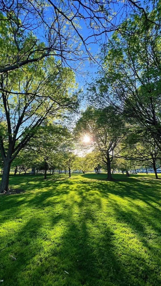 Mariam • tweet media