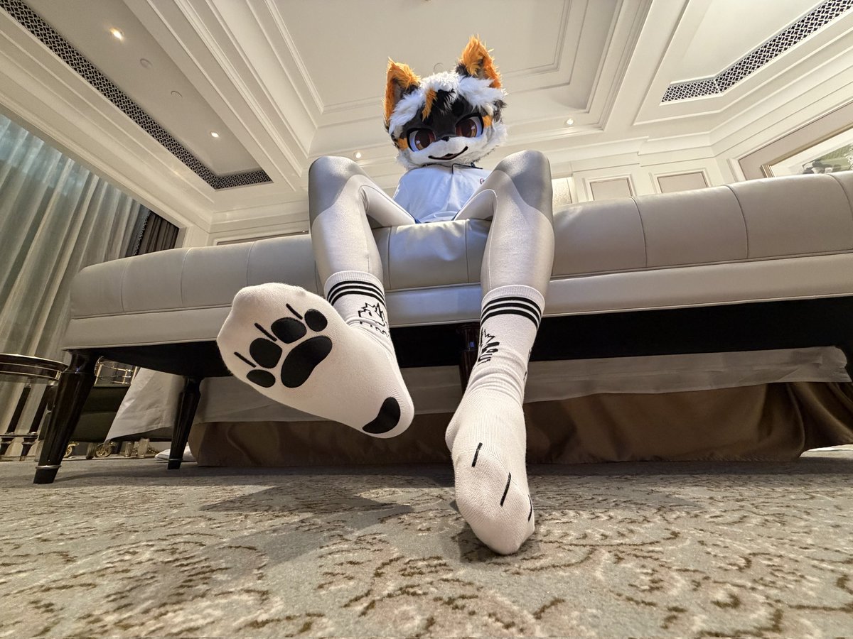 来舔
#furry #zentai