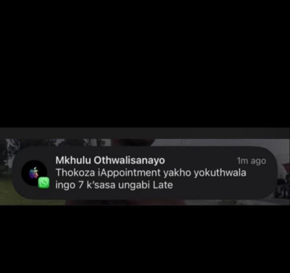 Salt & pepper 🌶️ tweet media