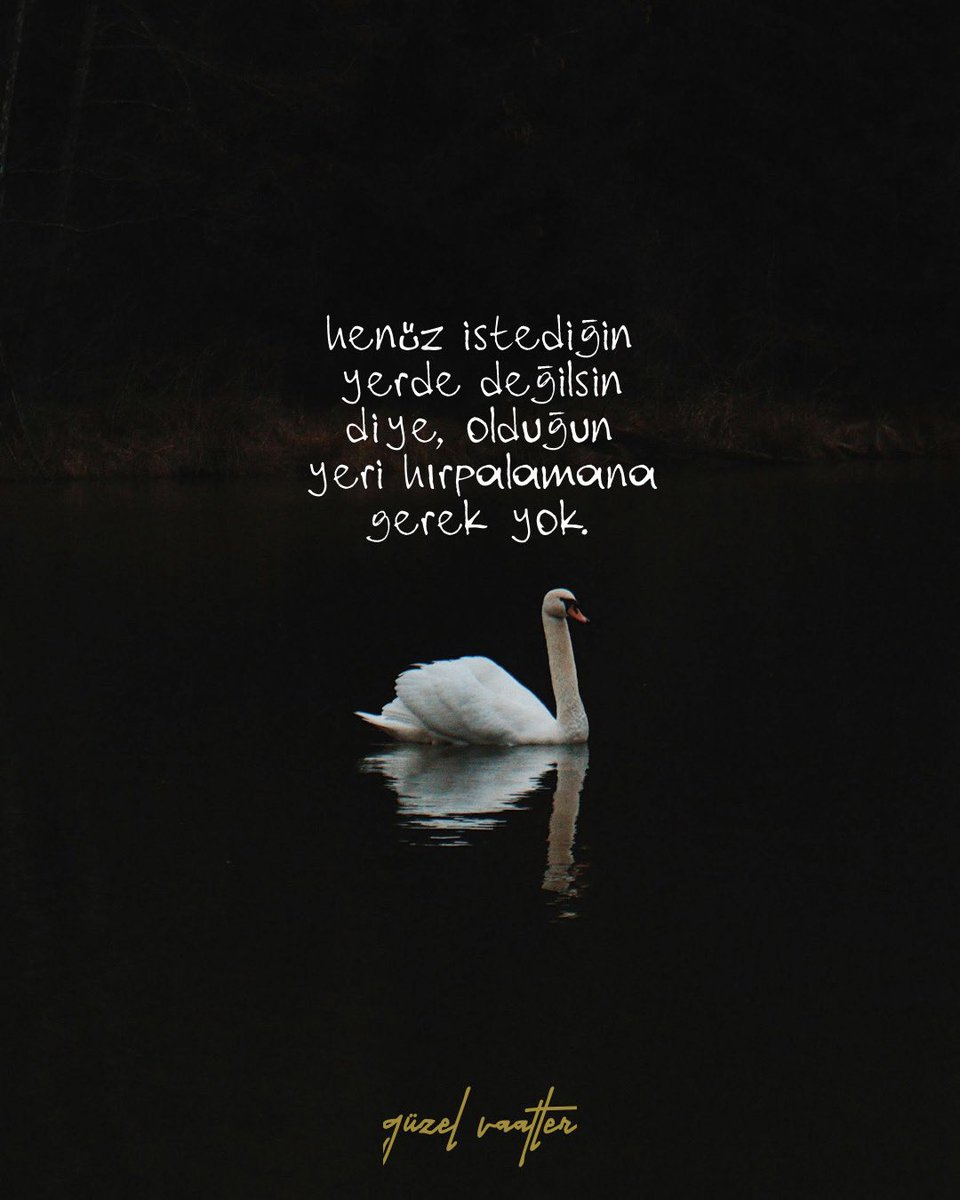 70.sayfa tweet media