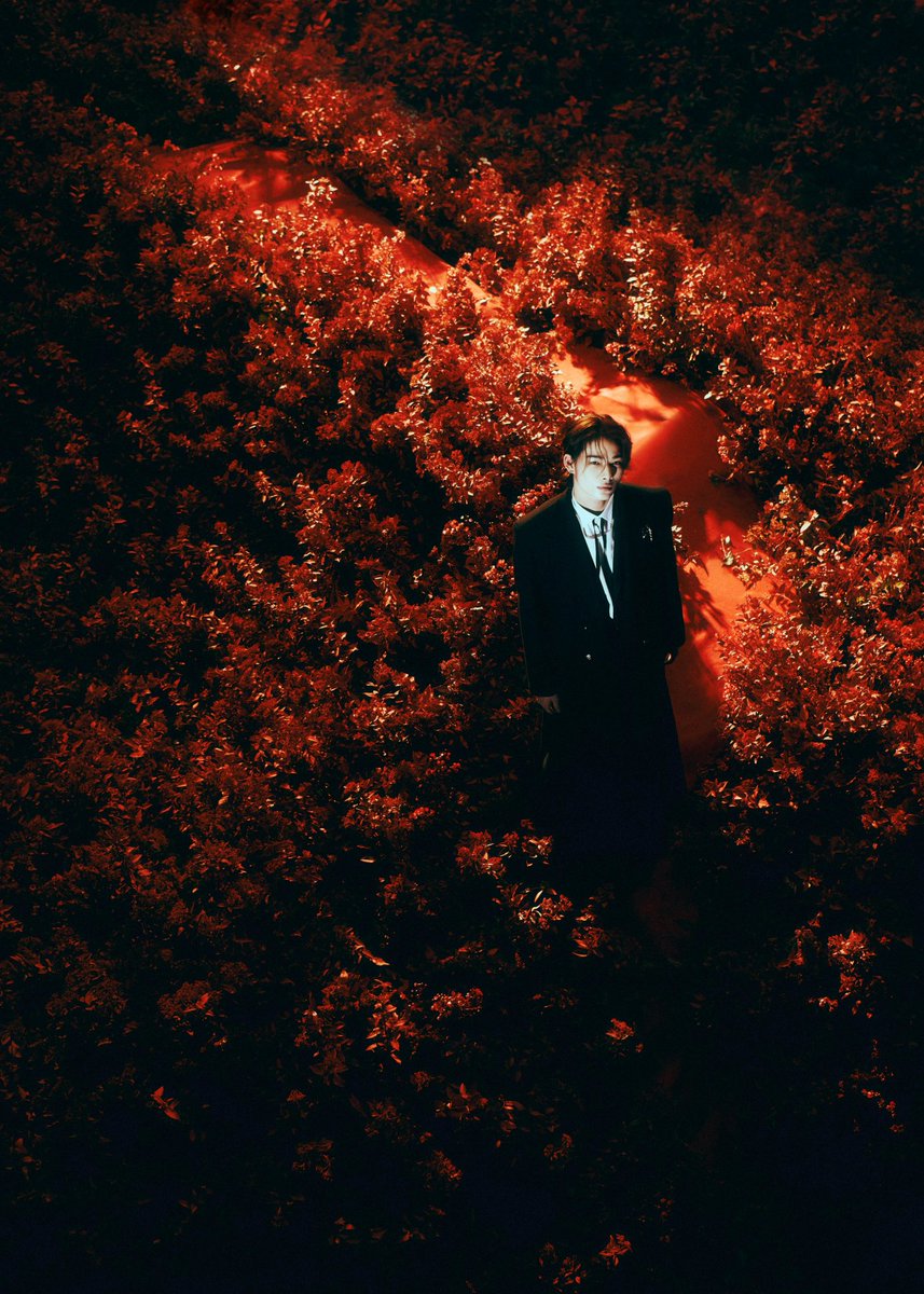 mxplode_'s tweet photo. M—XPLODE "DARK BLOOD" Concept Photo - HARUTO (NEW Ver.)

#MXPLODE #DARKBLOOD https://t.co/VhXHPDCB7N
