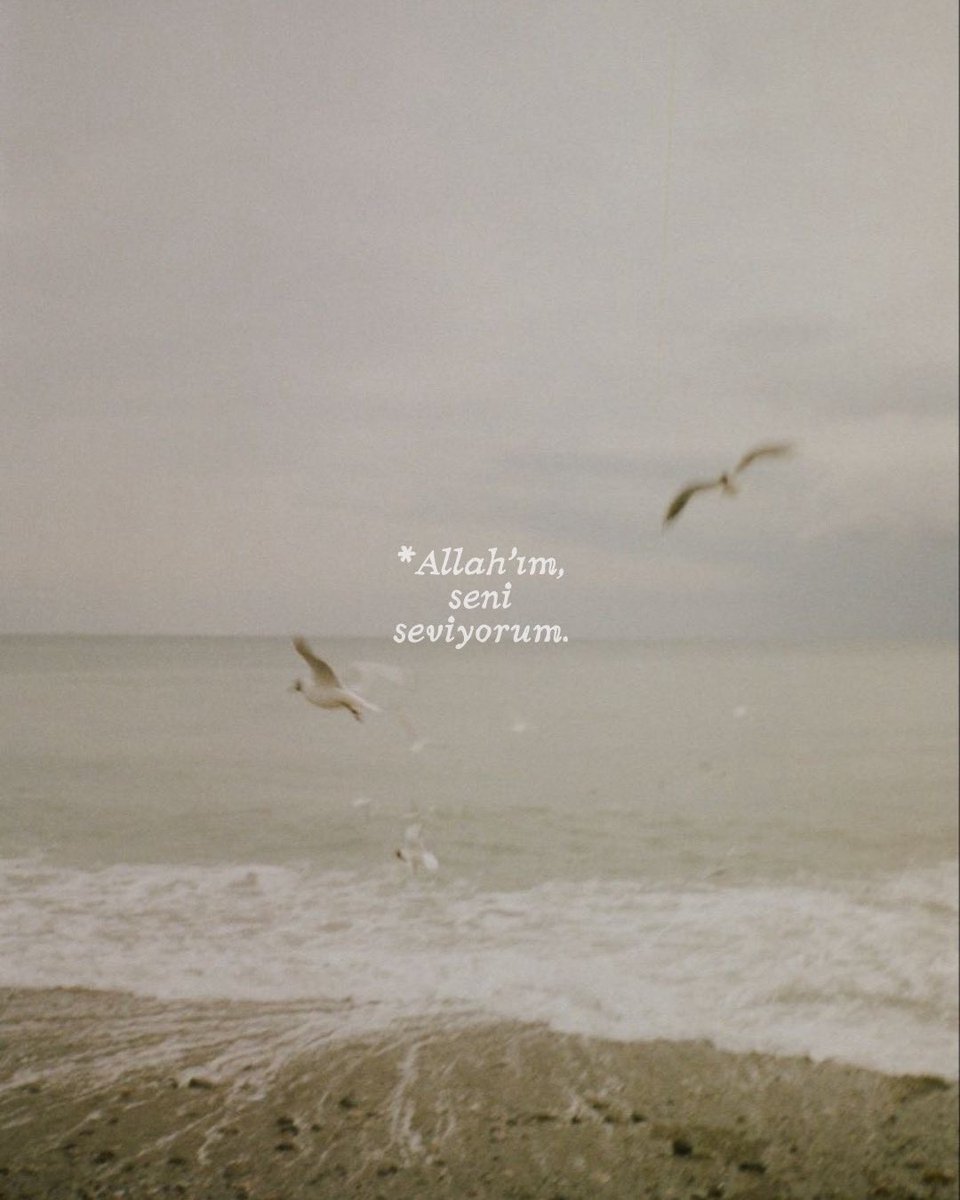 70.sayfa tweet media