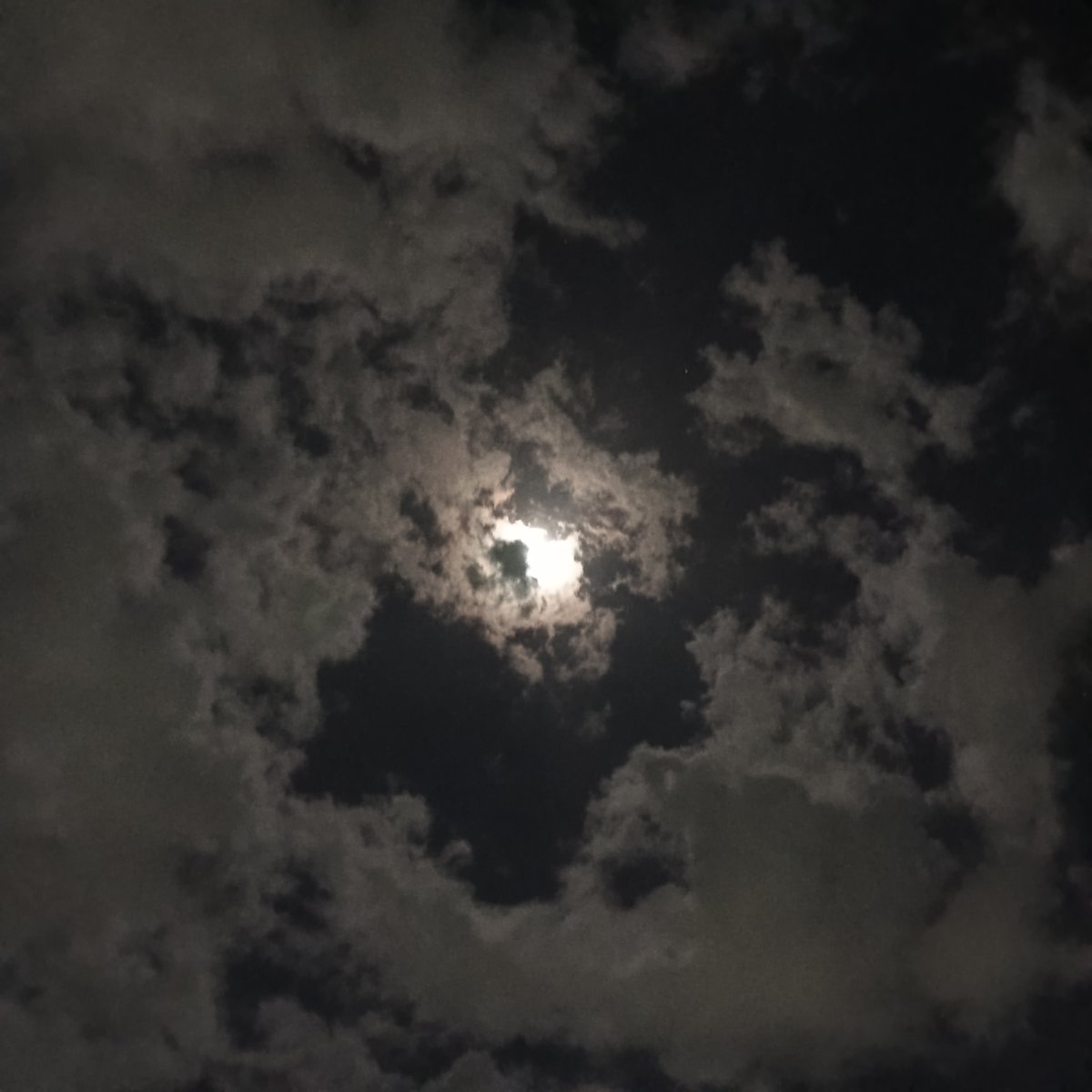 미니 🍓 tweet media