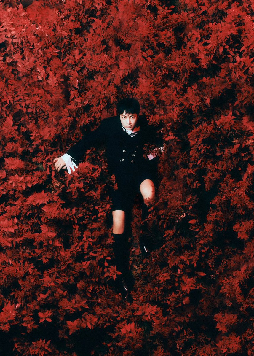 mxplode_'s tweet photo. M—XPLODE "DARK BLOOD" Concept Photo - SEOKMIN (NEW Ver.)

#MXPLODE #DARKBLOOD https://t.co/MHV9xk9wLd