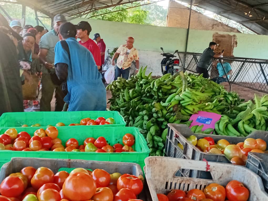 Osbel Lorenzo tweet media