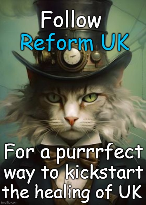 Boss Cat tweet media