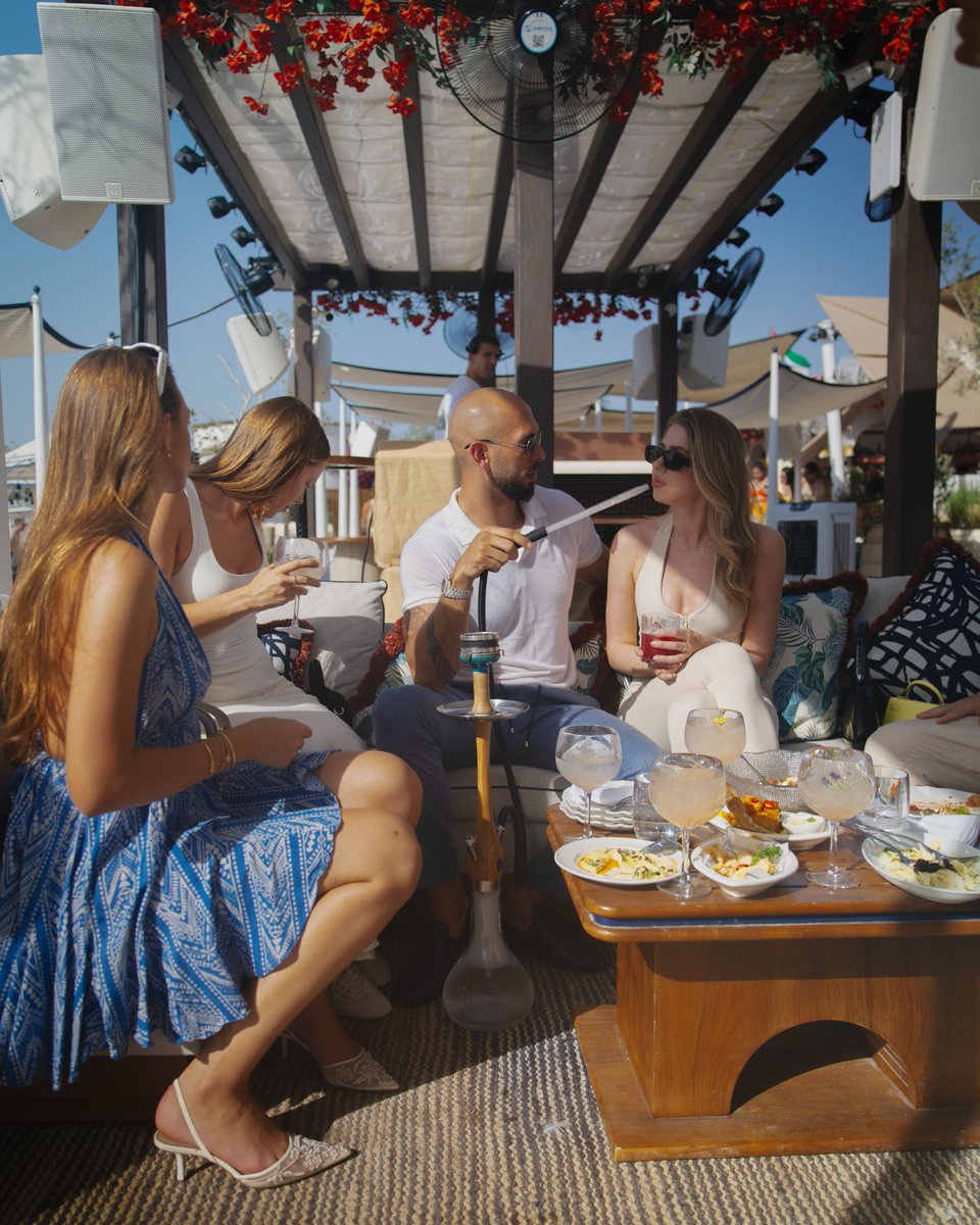 The Tate Motive tweet media