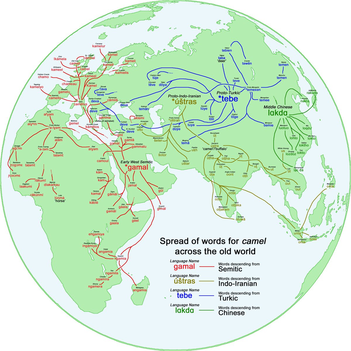 Cografik's tweet photo. Spread of four words for '#camel' across the Old World https://t.co/eATXWSstpb