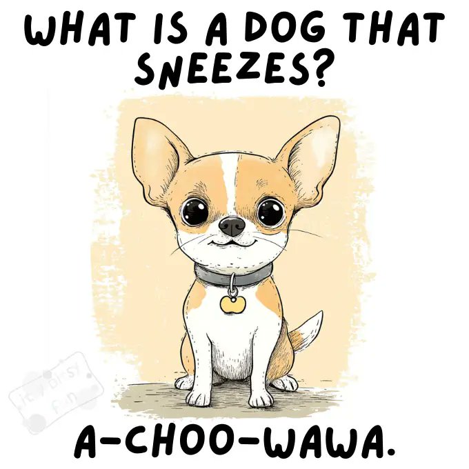 JM_Northup's tweet image. * That's PUN-ny:  Dog #Jokes *

Sunday is a day to relax and enjoy, so why not have a laugh and read a #book? Here are some humorous stuff to get you started, along with a couple book recommendations - jmnorthup.com/2026/04/19/tha…