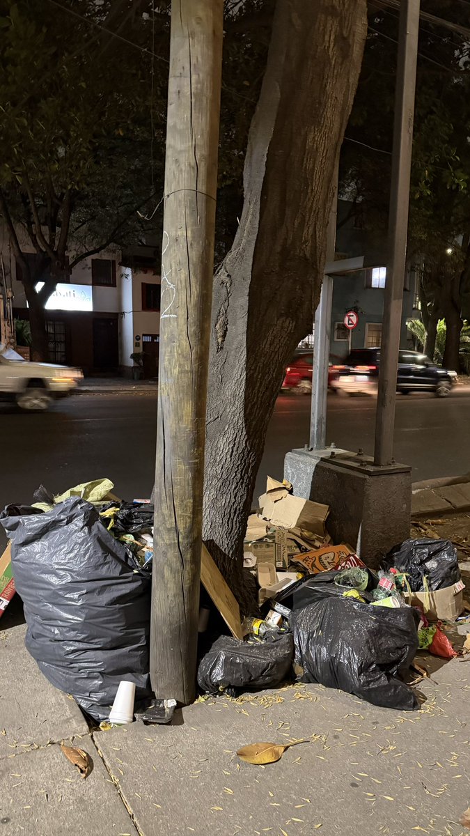 Bernardo Arandia ✈️ tweet media