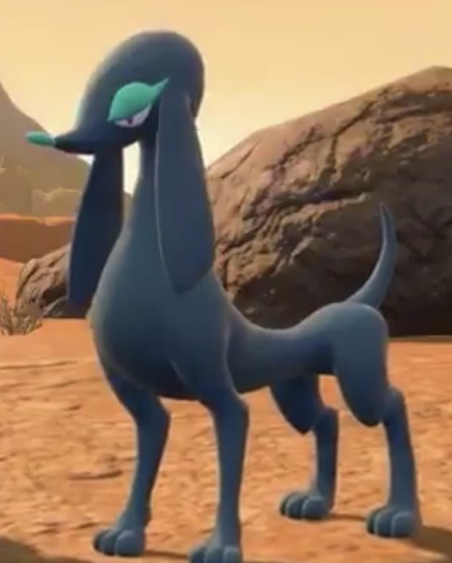 SquishyCaecilians tweet media