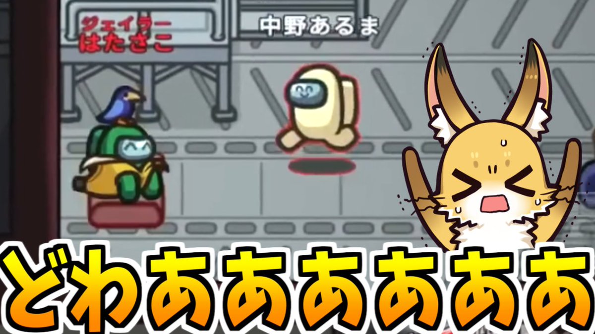 はたさこ🚩🦊 tweet media