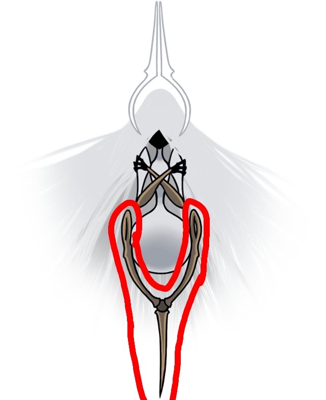 𝐓𝐇𝐄 𝐈𝐌𝐏𝐔𝐑𝐄 𝐎𝐍𝐄. tweet media