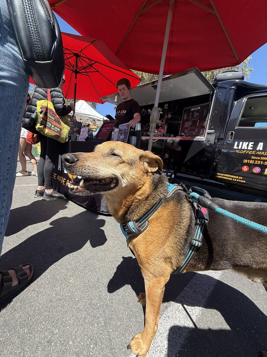 annelisa tweet media