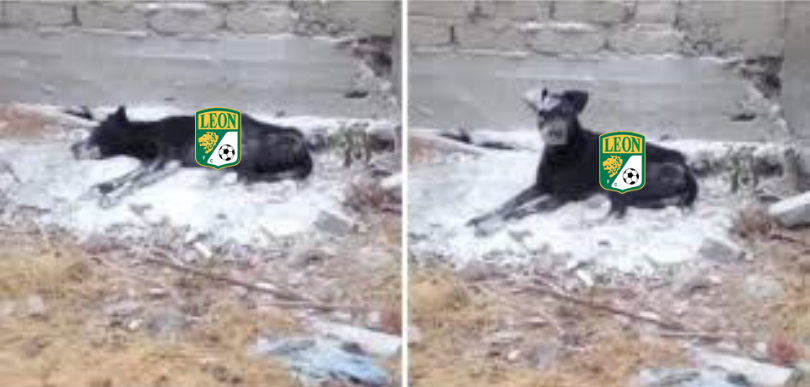 CapitánCalzon👹 tweet media