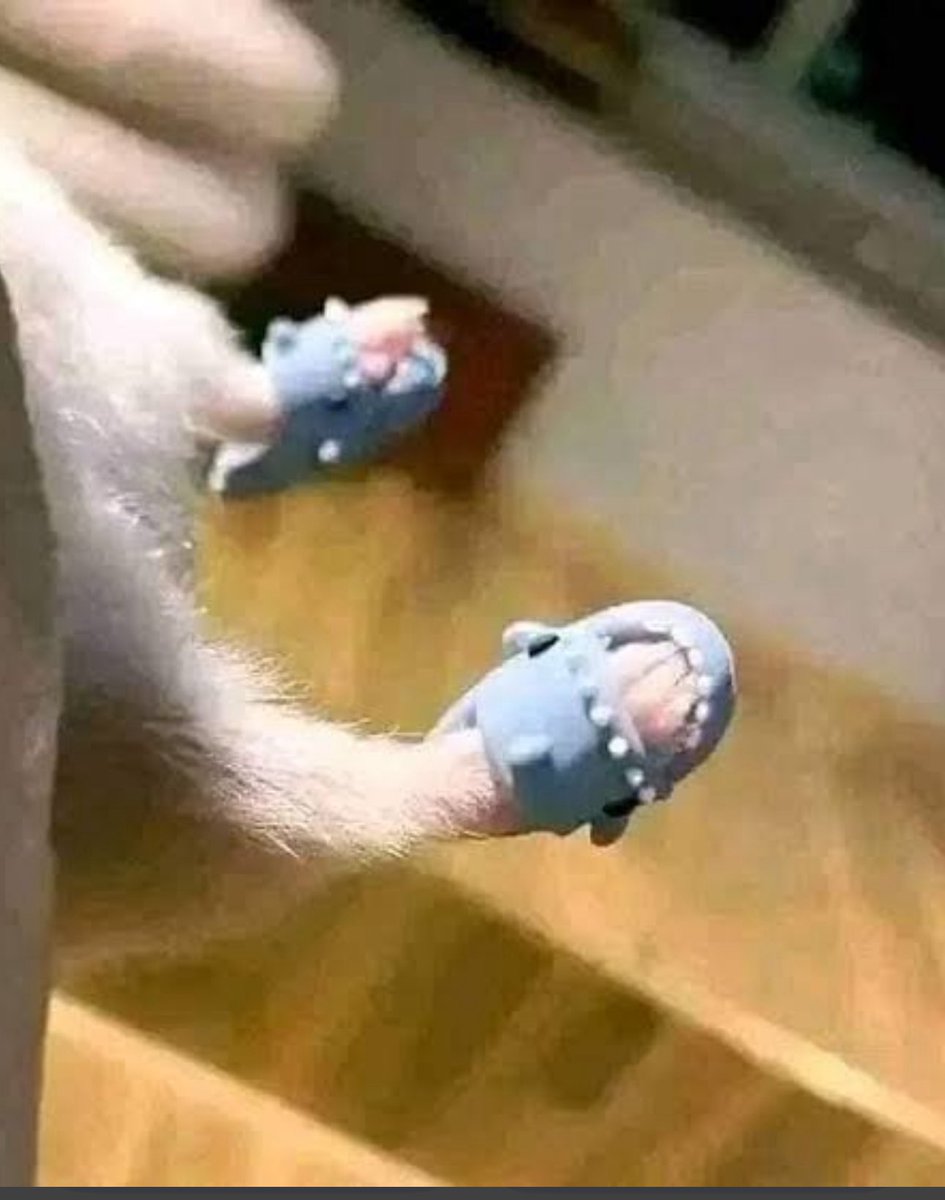 ؏ين🧜‍♀️ tweet media