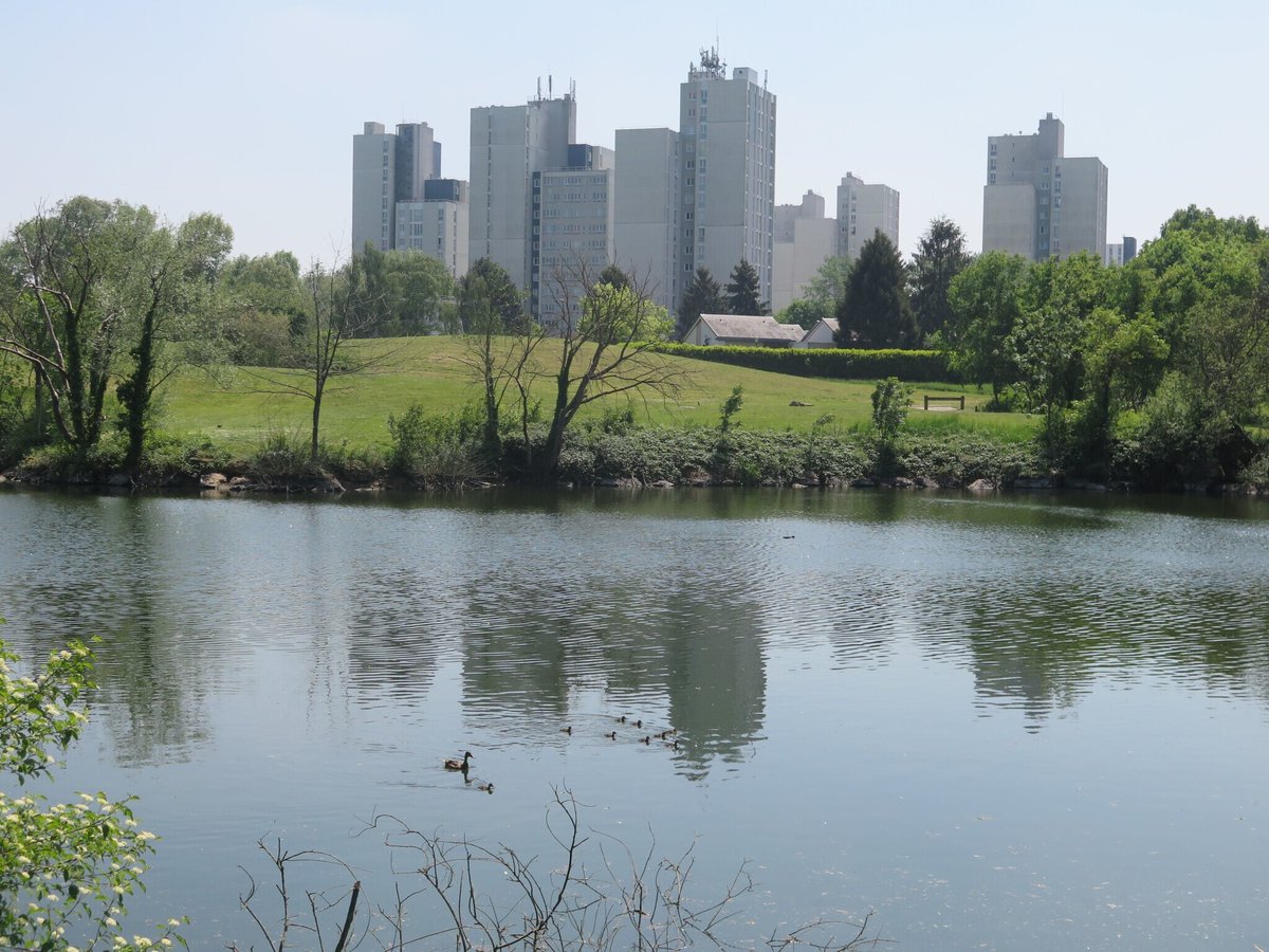 Le Parisien tweet media