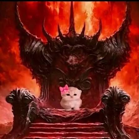 Rayan H. Barhoumi tweet media