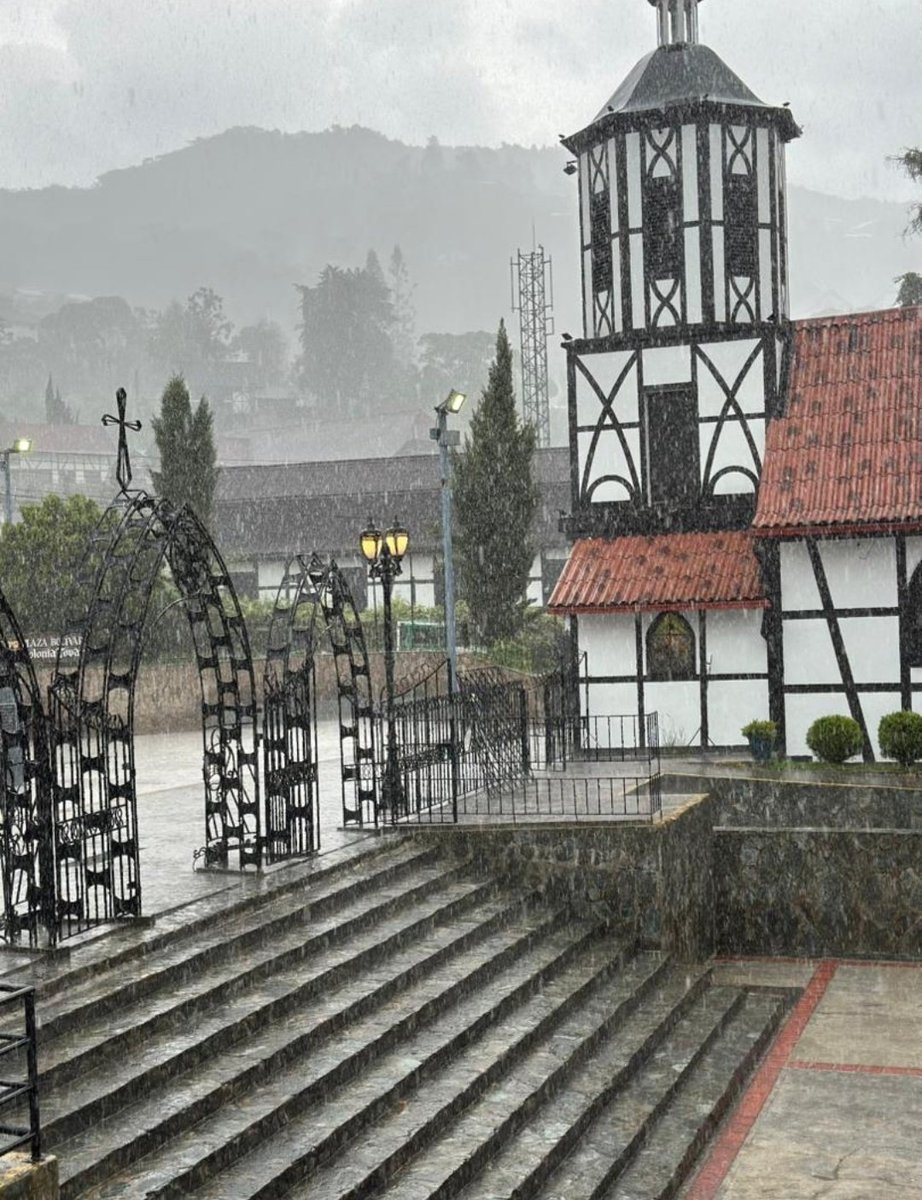 Yuly Schmuck tweet media