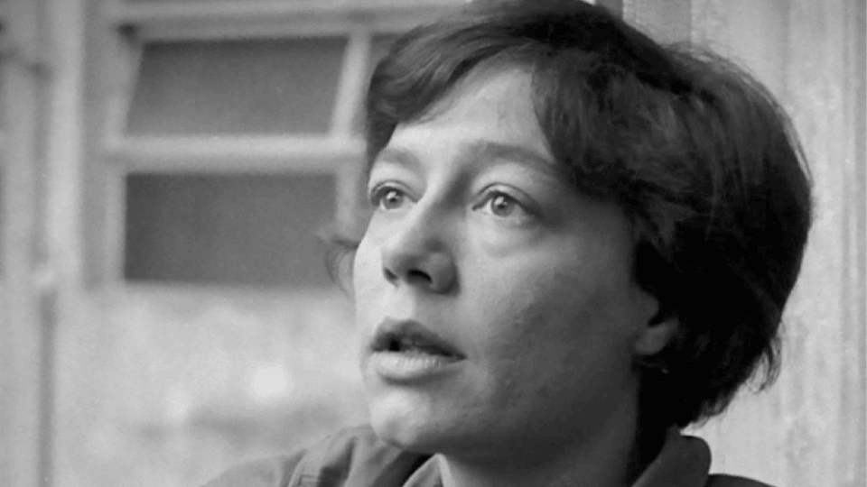 FLOR AZUL tweet media