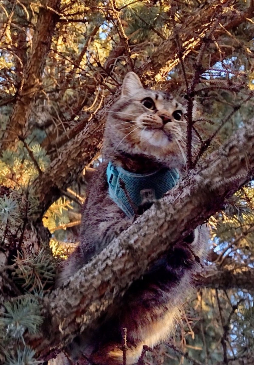 Fruma-Ruth tweet media