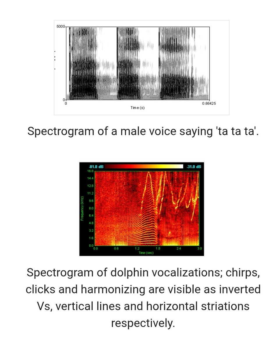 intro:night 🧭 tweet media