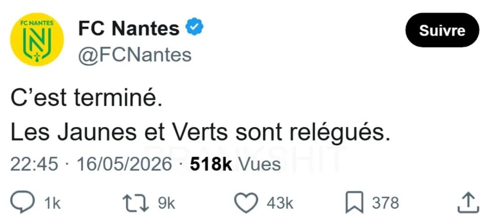 Polo tweet media