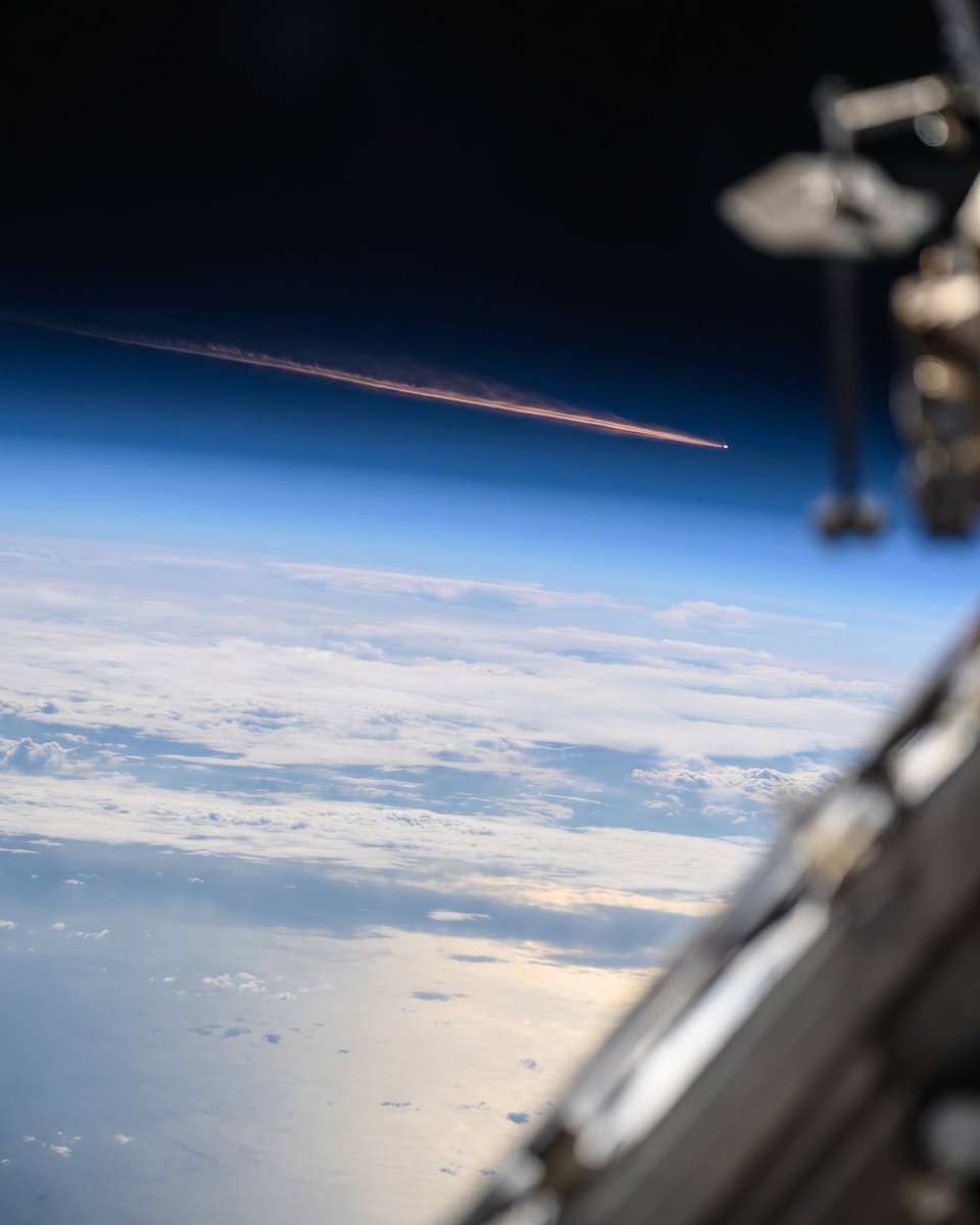 AlbertoRodNews tweet media