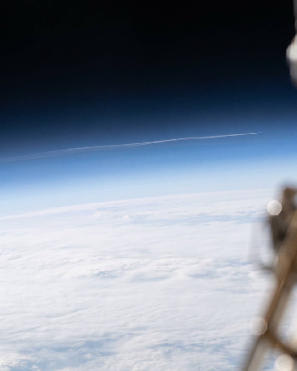 AlbertoRodNews tweet media