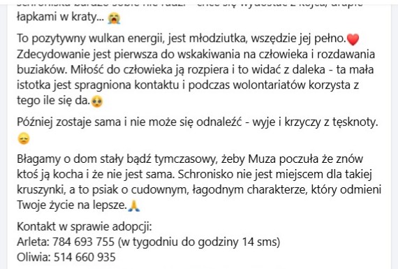 RobwalkaW's tweet photo. Dom tymczasowy NA CITO !!
Dziewczyna nie radzi sobie w schronisku i ciągle płacze
przeczytajcie jej historię w screenie 
schronisko we Wrześni Wlkp .
koniecznie obejrzyjcie z głosem .. https://t.co/HqtGmgarkZ