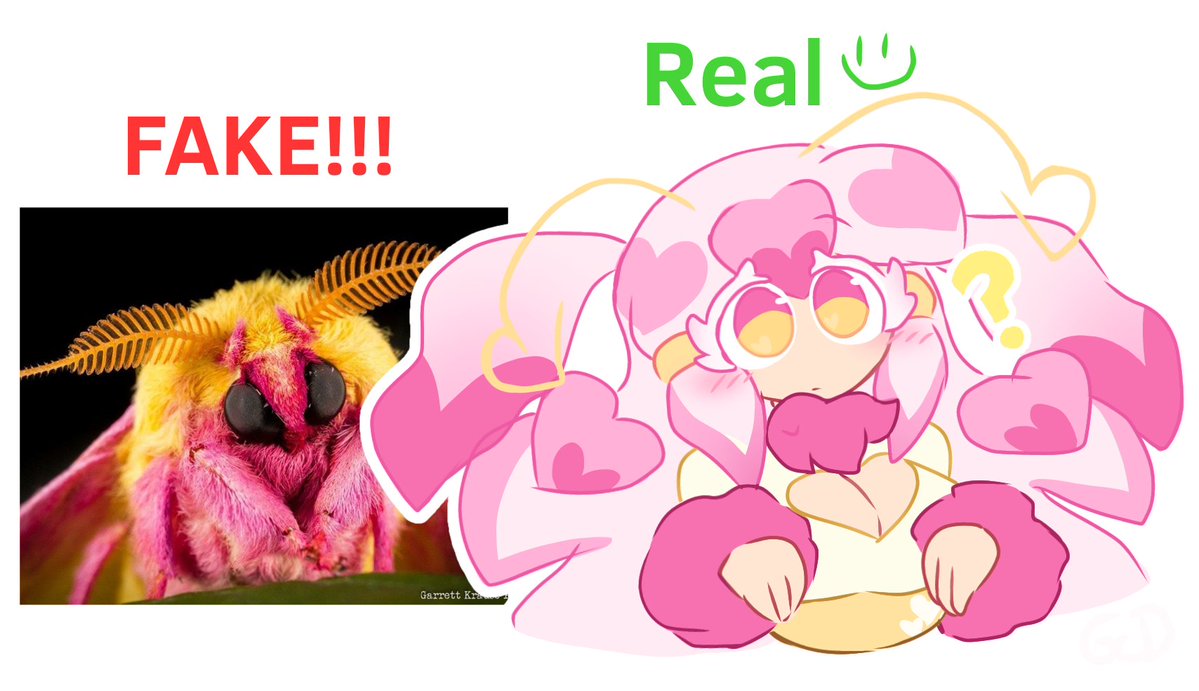 GregcoolDude tweet media