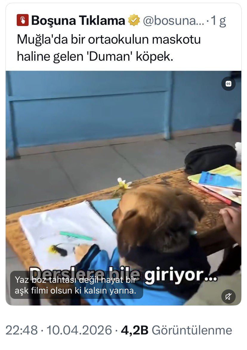 Dilara Erkmen tweet media