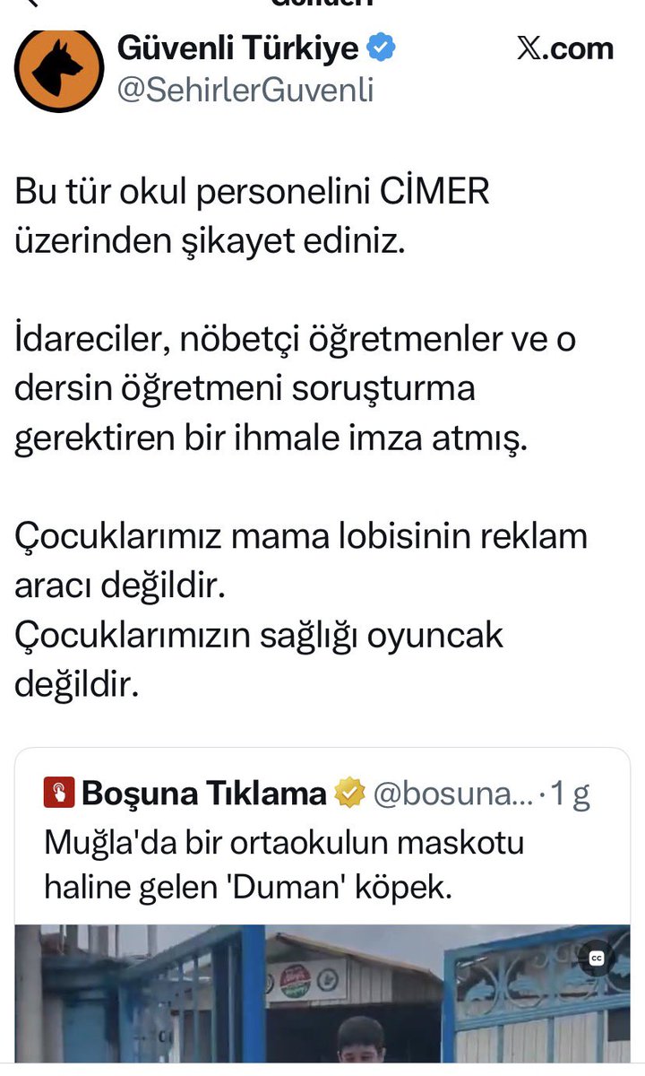 Dilara Erkmen tweet media