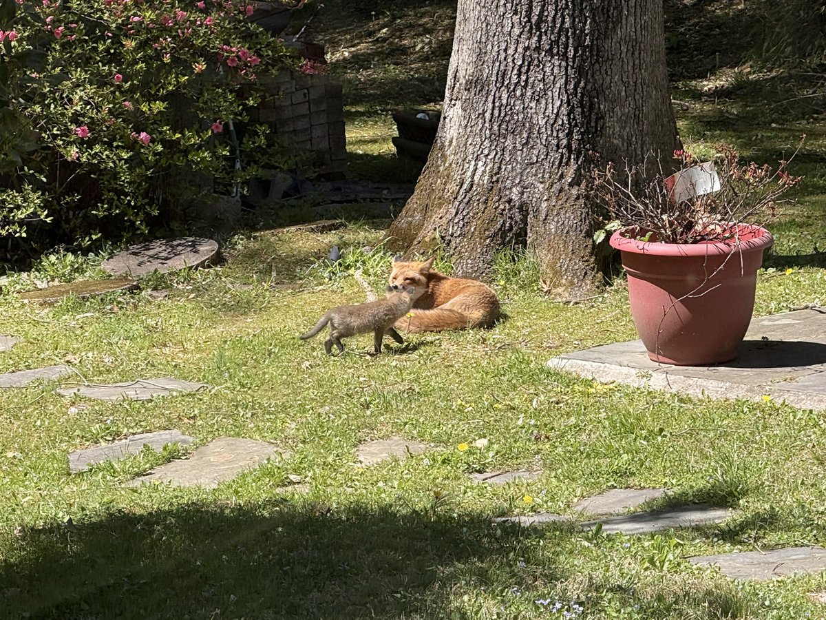 Armando Guzman tweet media