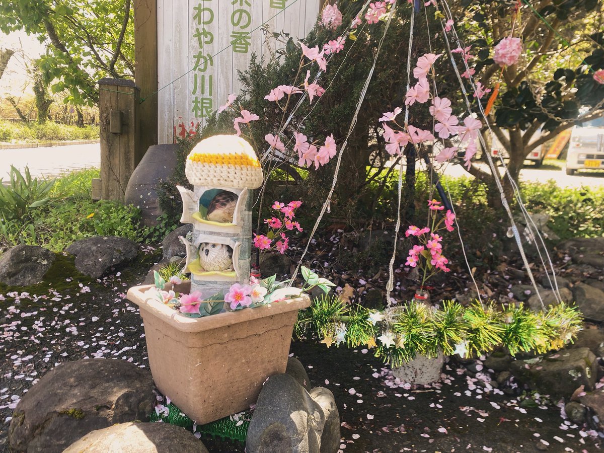 カレー屋ロストコーナー tweet media