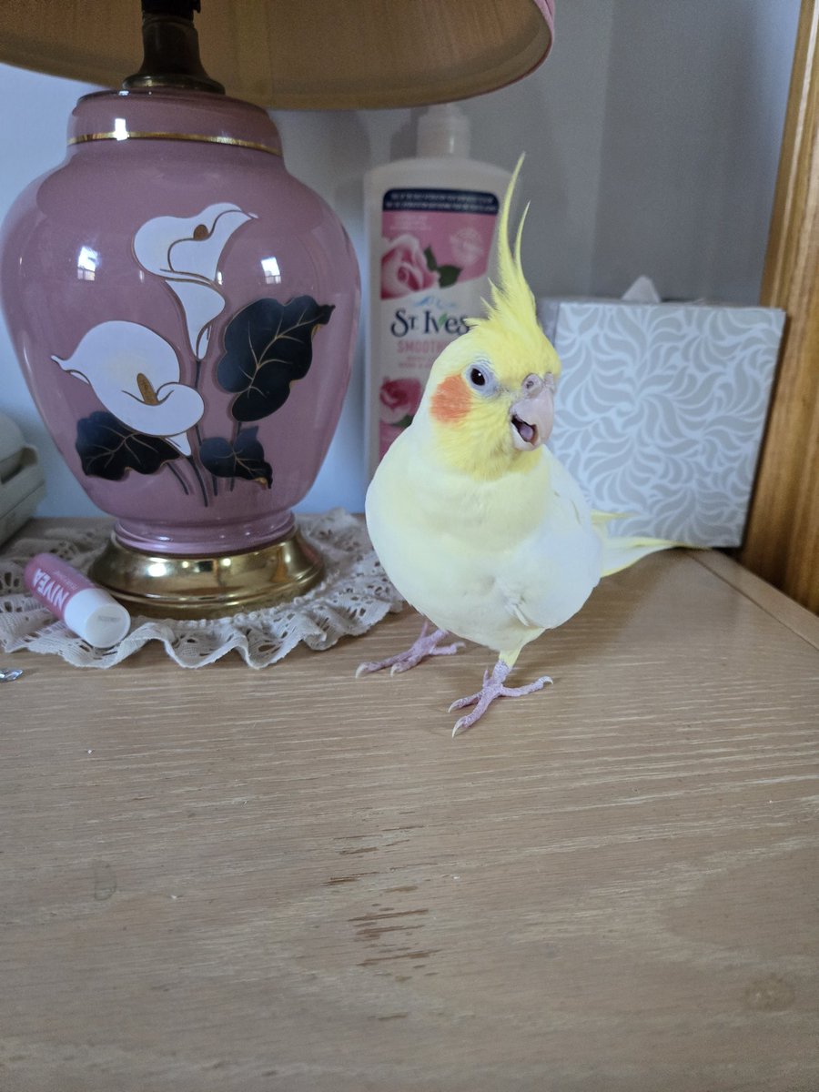 👠😷Laura T👠😷 tweet media