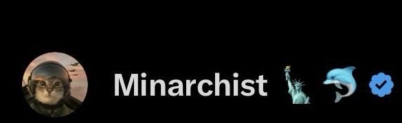 Minarchist 🗽🐬 tweet media