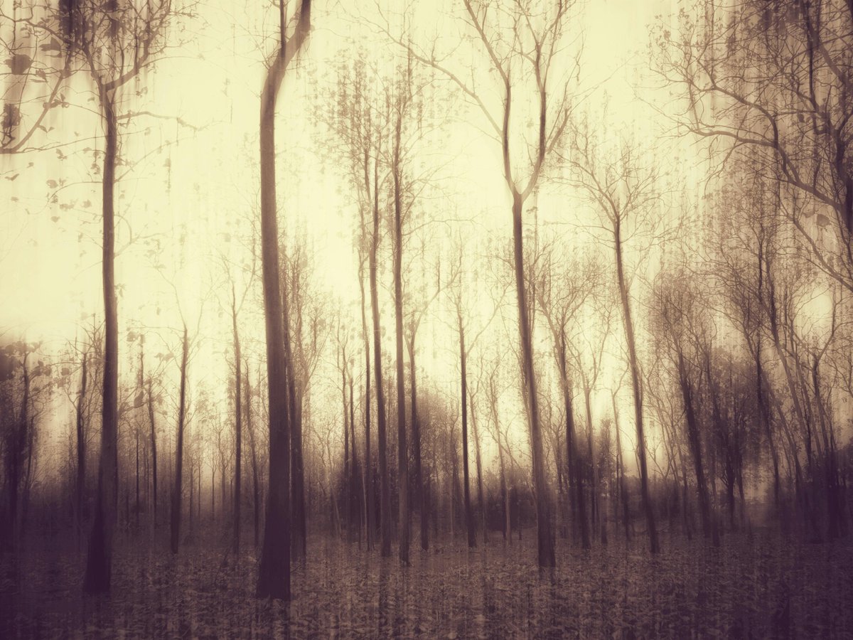 ๐
๐ซ๐๐๐๐จ๐ฆ ๐
๐ซ๐๐ง๐ค tweet media