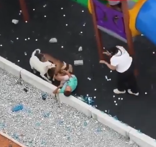 Lambda Rick 🏴‍☠️/acc tweet media