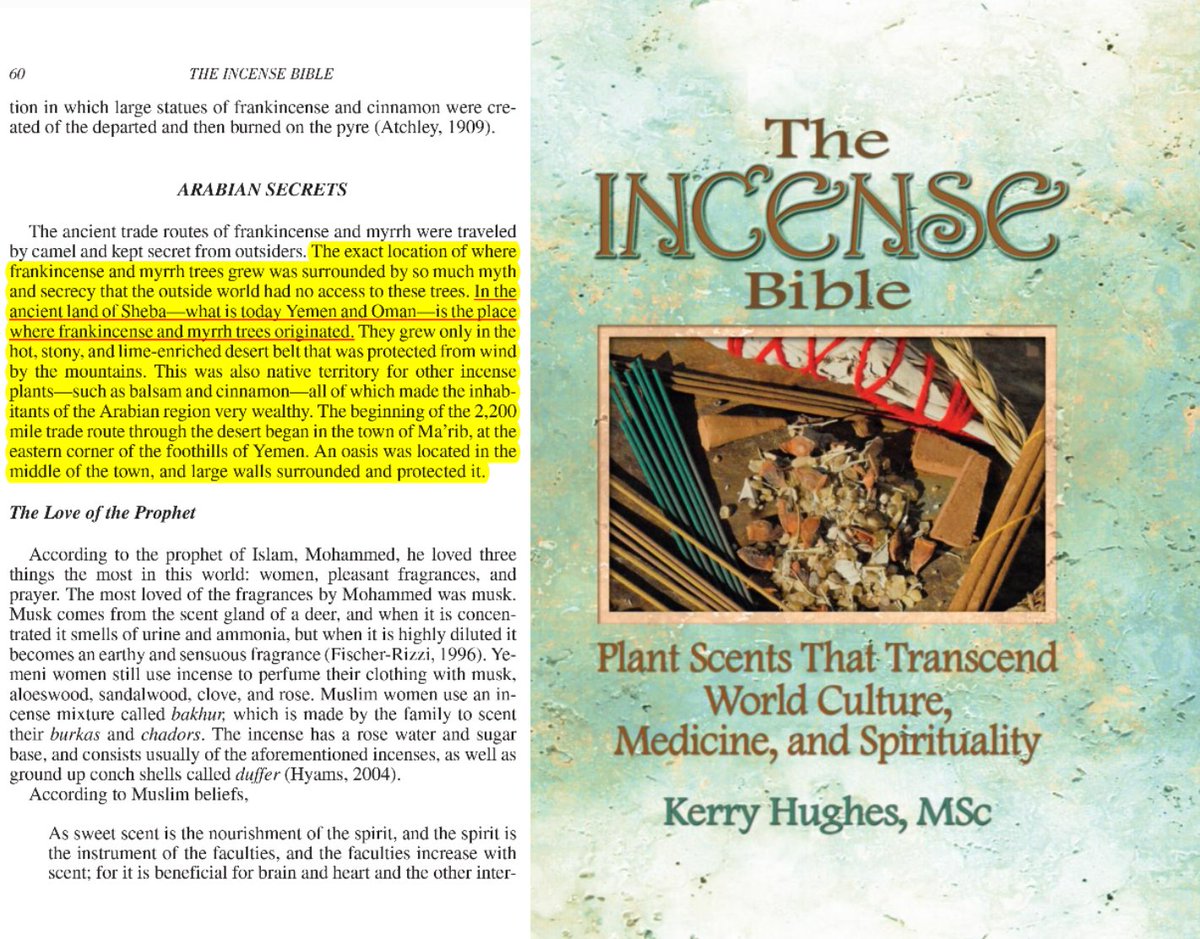 السيباني 𐩢𐩪𐩬𐩺 𐩱𐩡𐩪𐩺𐩨𐩱𐩬𐩺 tweet media