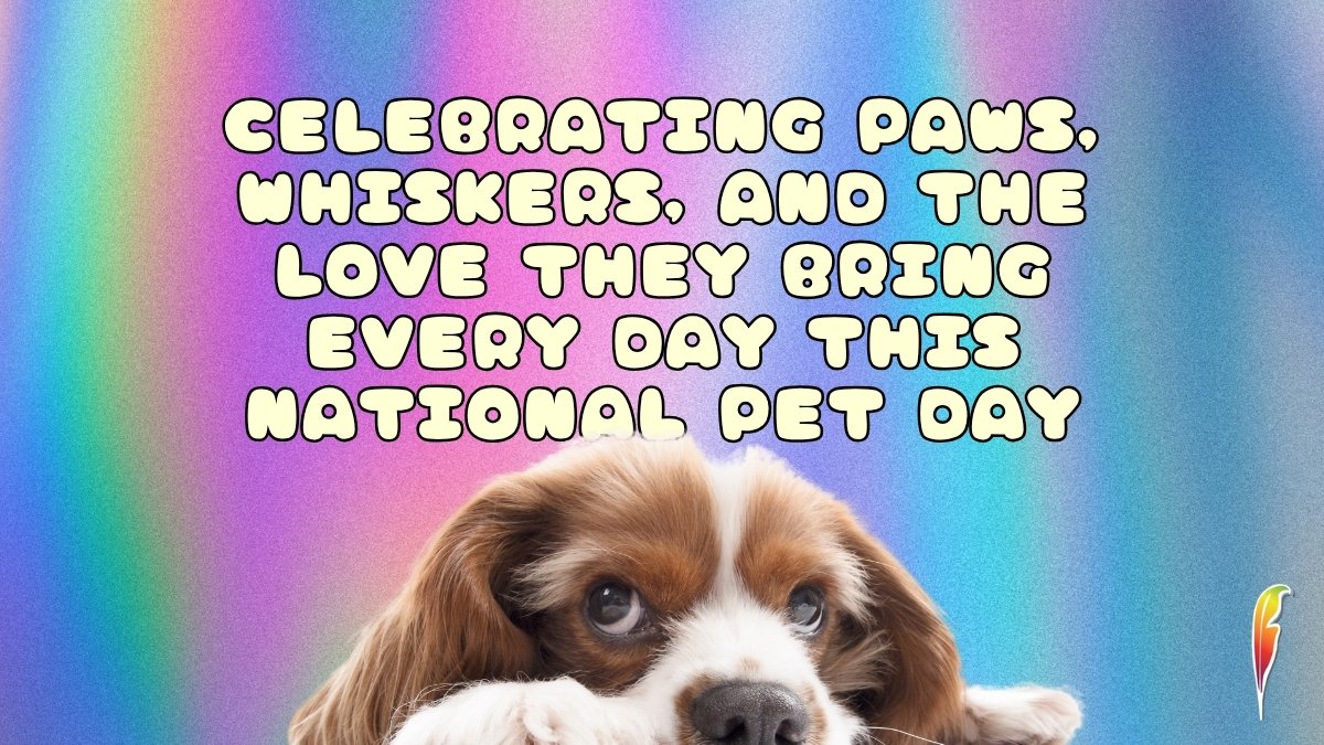 AMPublishersUSA's tweet photo. Happy National Pet Day! Celebrate the love, joy, and fun our furry friends bring into our lives.
Order now | https://t.co/67zdbMoJUo
#PetDay #DogRecue #Books https://t.co/GiBdzKJgjz
