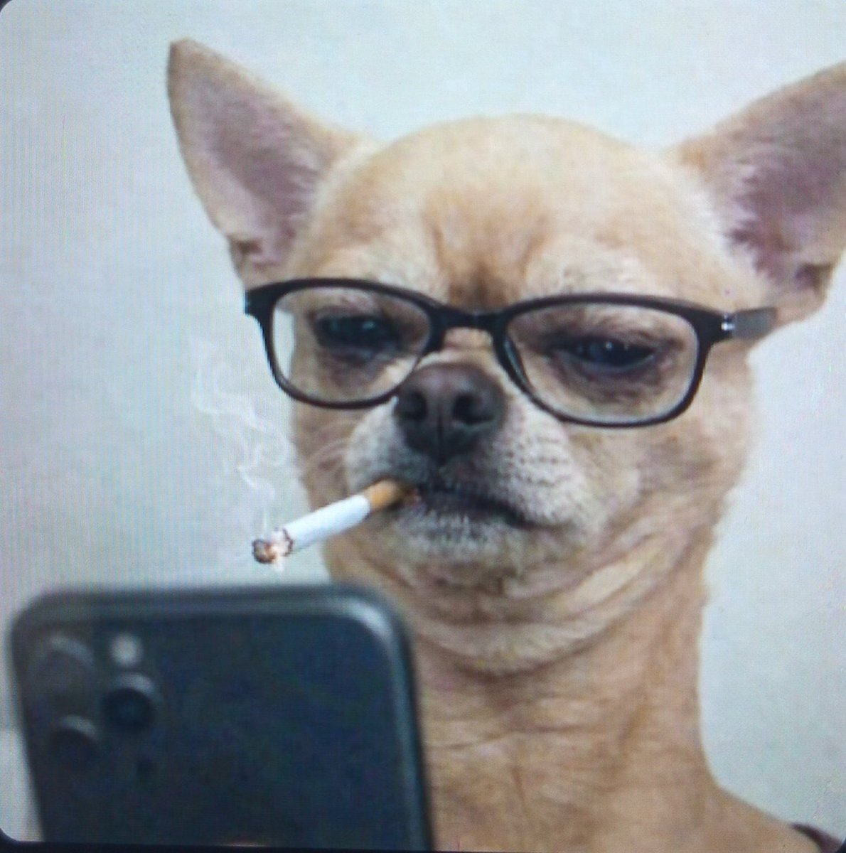 VCs reviewing your pitch after you said ‘AI-powered’ for the third time.