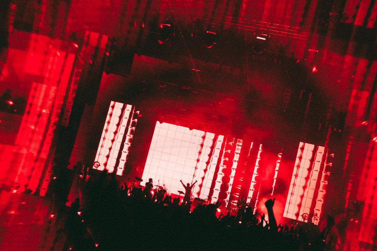 Дельфин tweet media