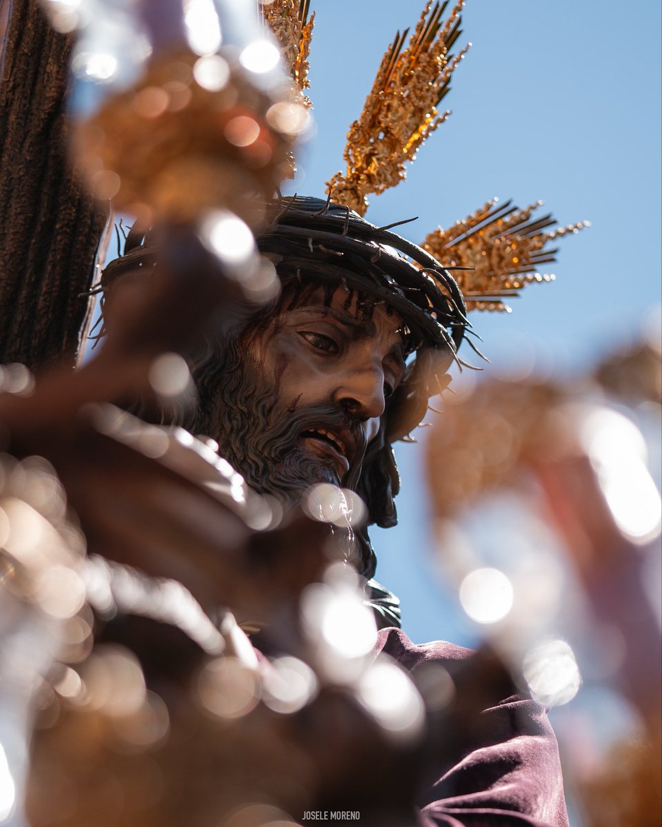 Josele Moreno | Fotógrafo tweet media