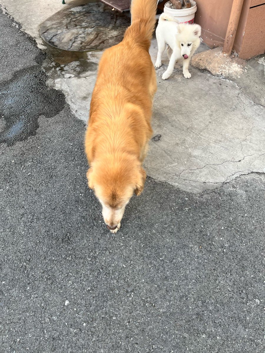 Charlotte tweet media