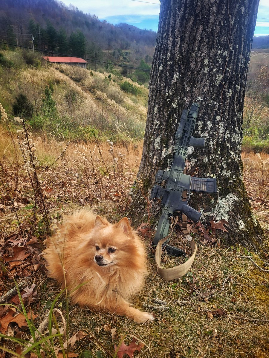 JaffoStudios tweet media