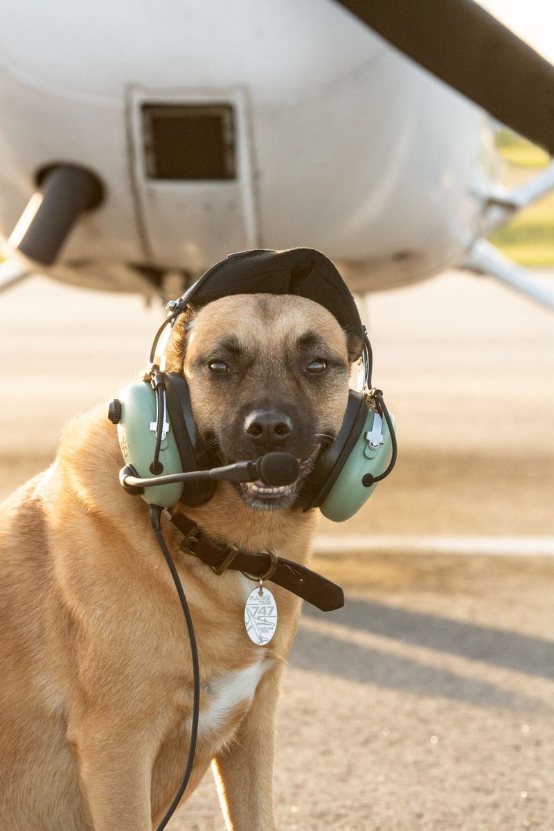 PlaneTags ✈️🏷️ tweet media